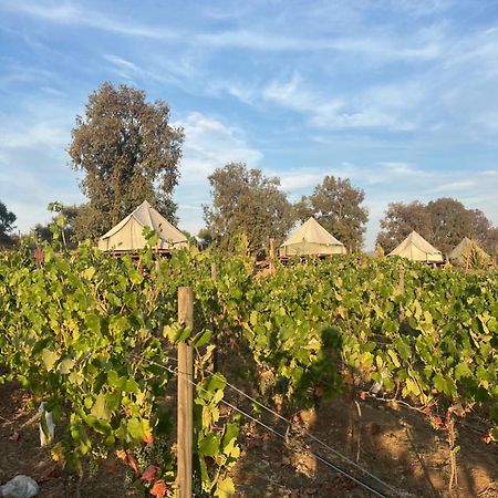 Lago Valle Wine Glamping บาเย เด กัวลาลูเป ภายนอก รูปภาพ