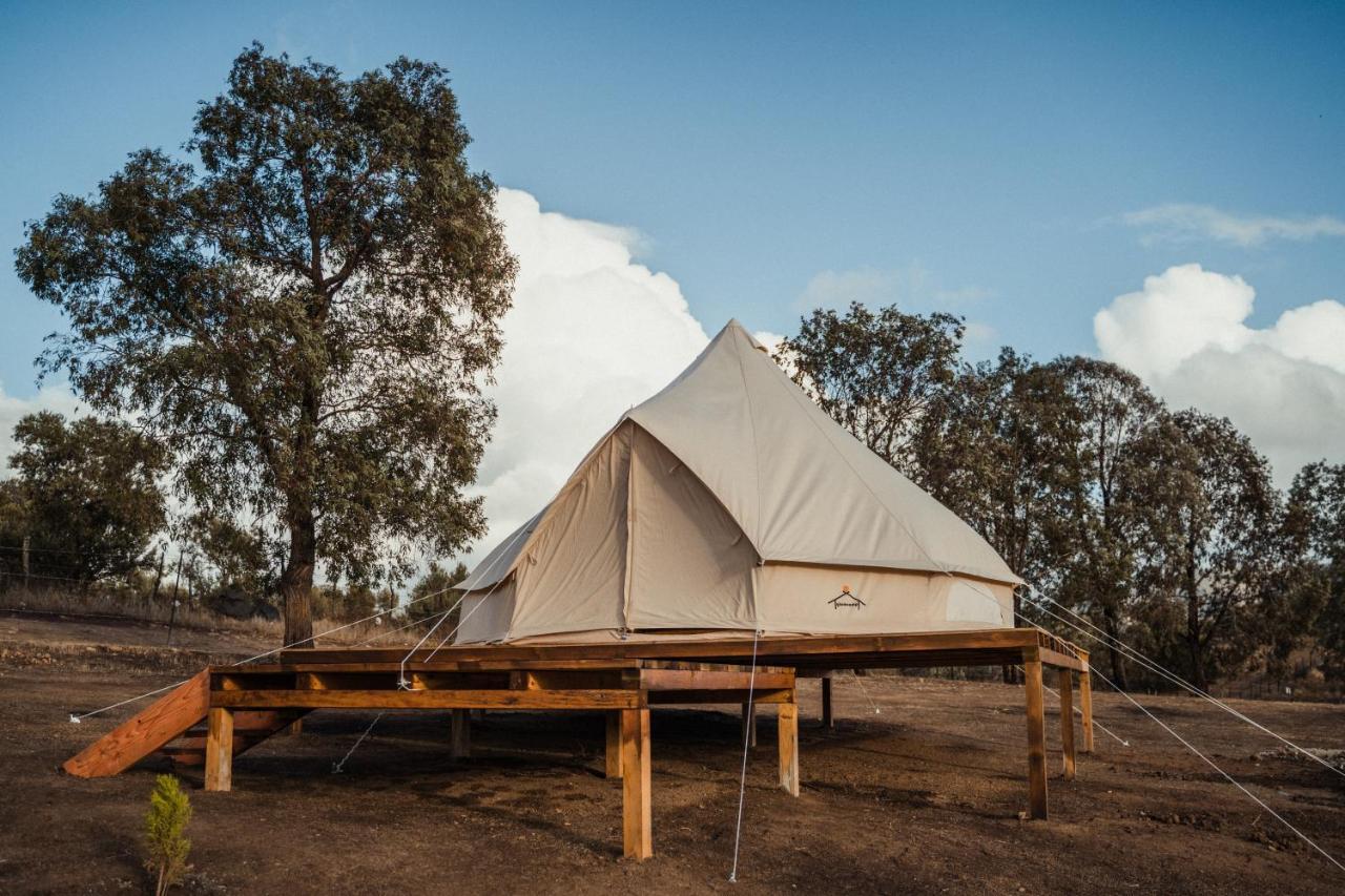 Lago Valle Wine Glamping บาเย เด กัวลาลูเป ภายนอก รูปภาพ