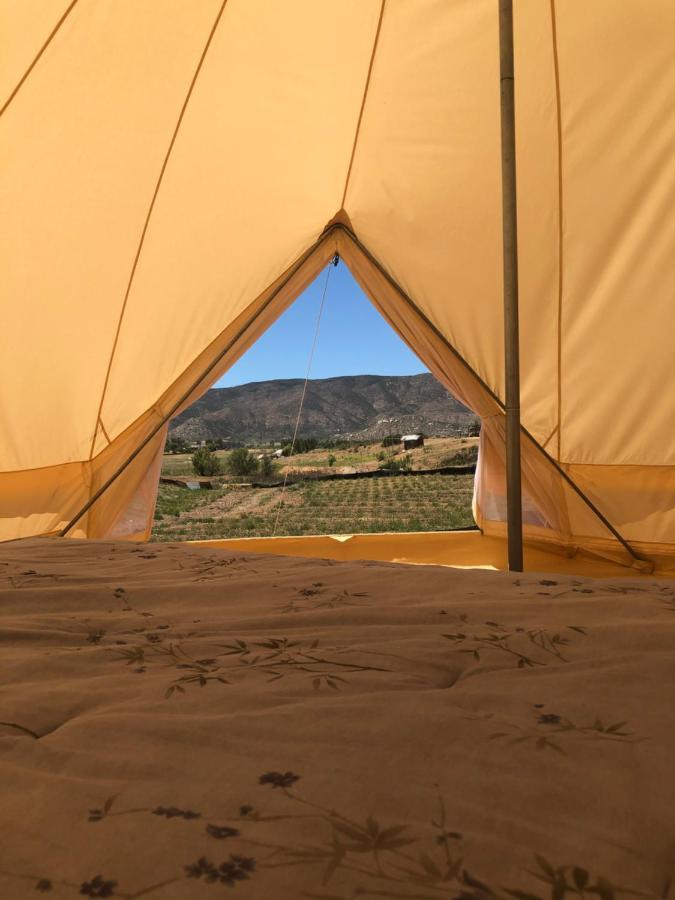 Lago Valle Wine Glamping บาเย เด กัวลาลูเป ภายนอก รูปภาพ