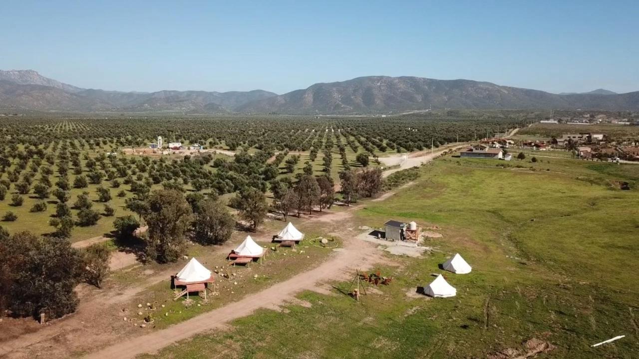 Lago Valle Wine Glamping บาเย เด กัวลาลูเป ภายนอก รูปภาพ