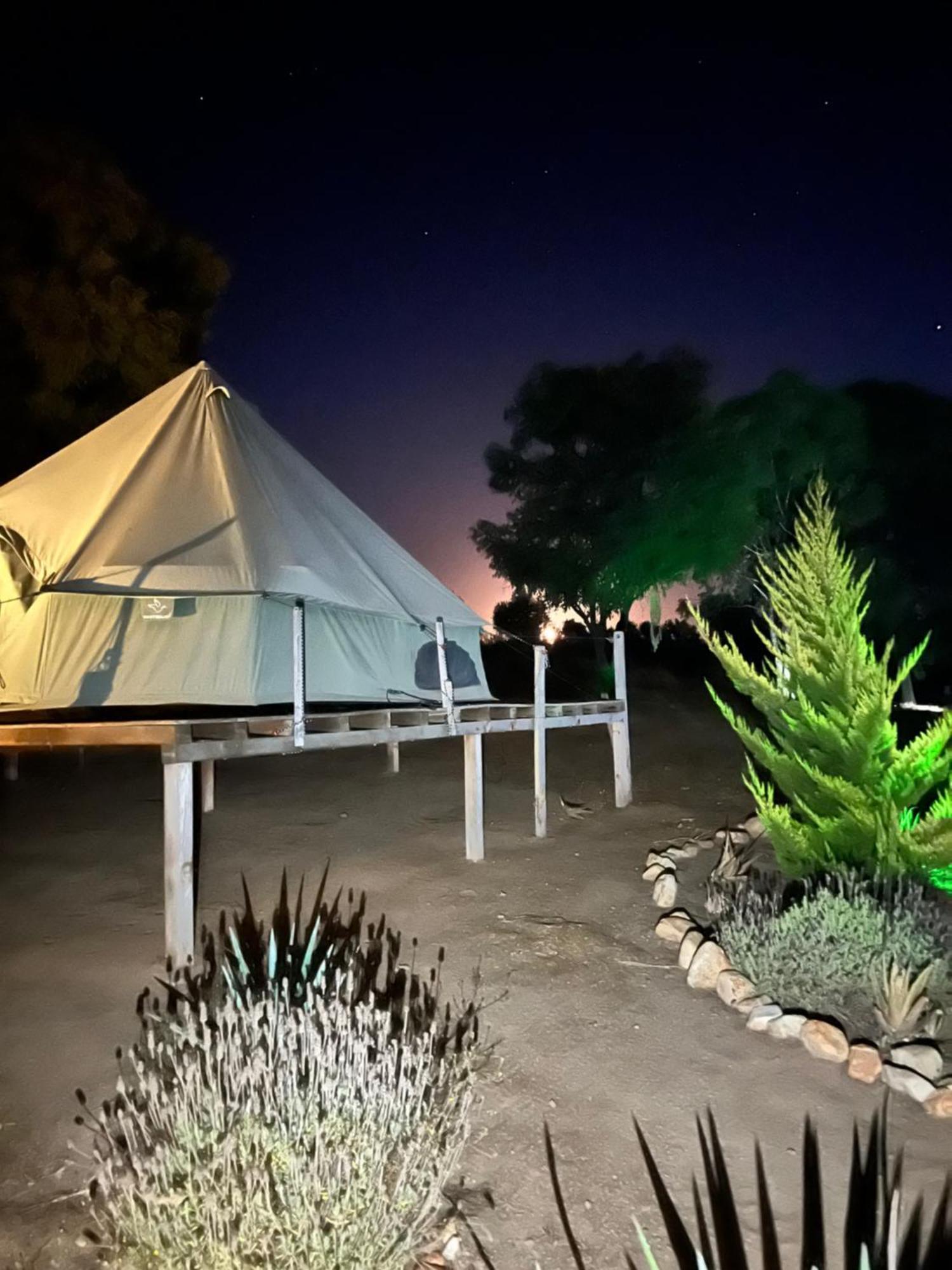 Lago Valle Wine Glamping บาเย เด กัวลาลูเป ภายนอก รูปภาพ